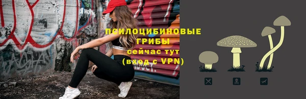 дживик Костерёво