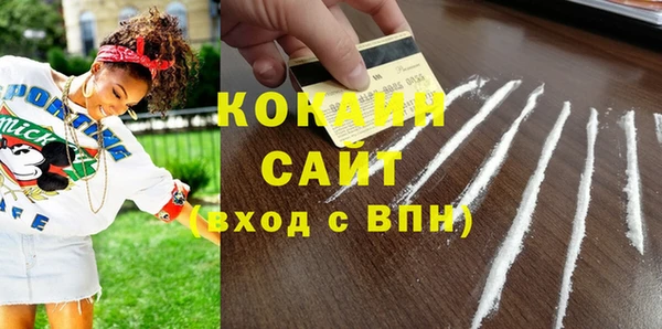 дживик Костерёво