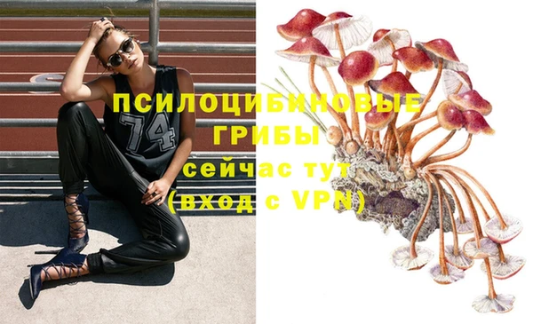 спиды Краснотурьинск