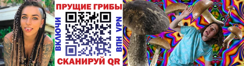 купить наркотики цена  Ладушкин  Галлюциногенные грибы MAGIC MUSHROOMS 